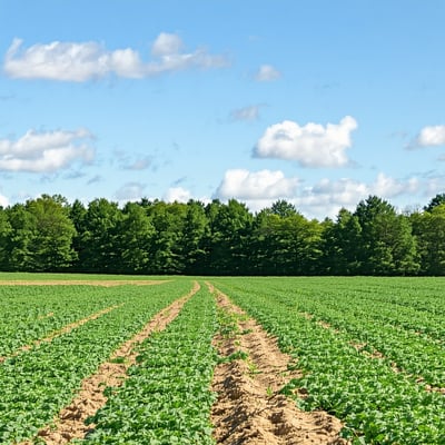How to Post Land for Sale Online