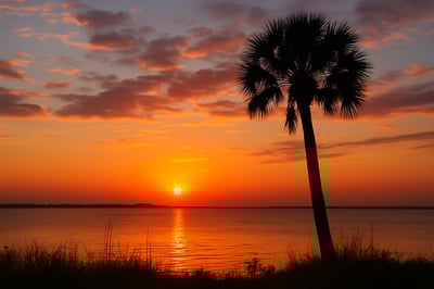 Is Now a Good Time to Sell Land in Florida?