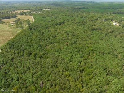 Why Selling to a Direct Land Buyer Might Be the Smartest Move for You